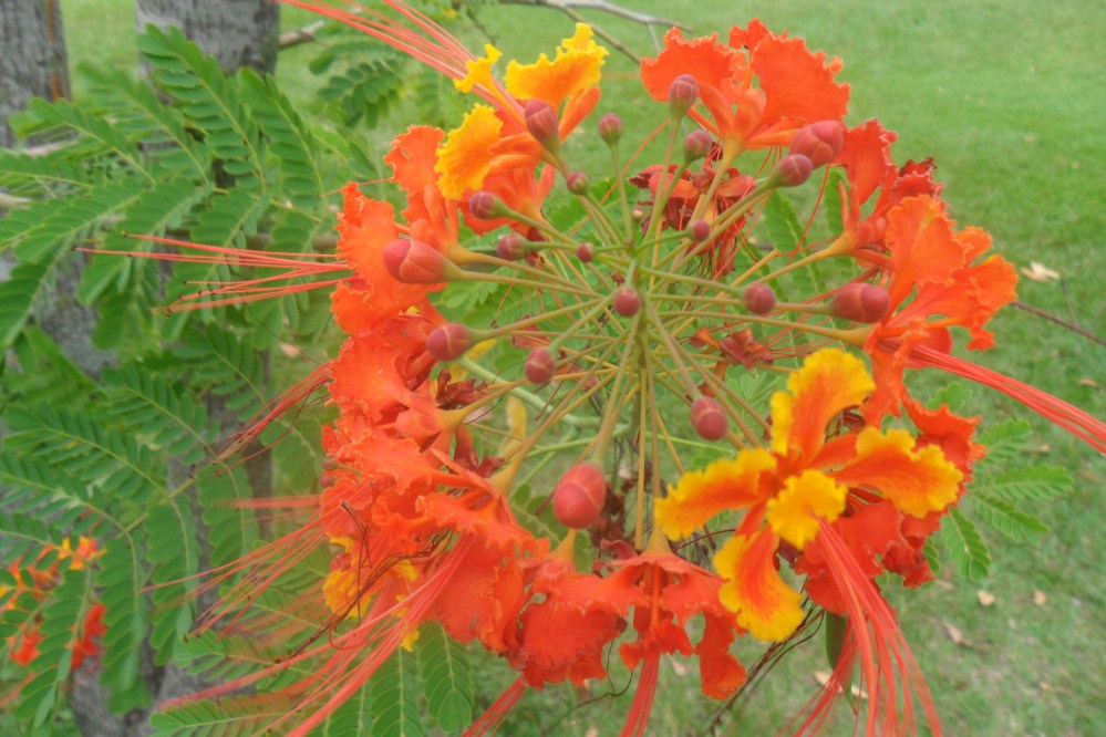 Sorpresas y regalos en lo mínimo