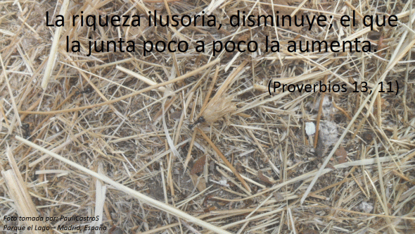 Proverbios 13, 11